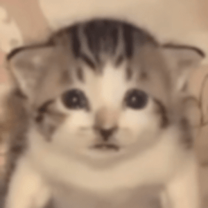 This is the Avatar Image for the Nekoglai AI Voice and Text to Speech Generator